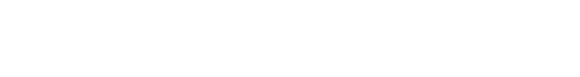 Novum Partners